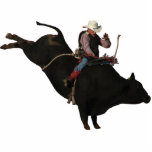 Brady and bull photo sculptures
