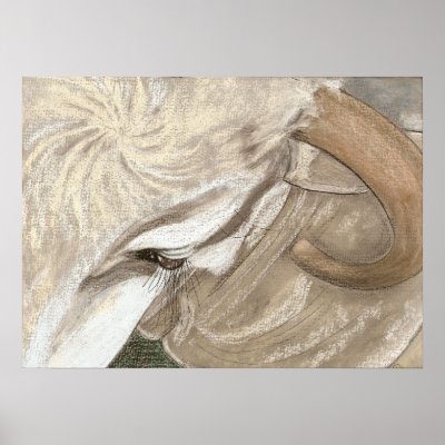 BRAHMA BEAUTY POSTER by dawnmcininch