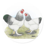 Brahma:  Light2 Stickers