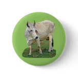 Brahman Cow Button