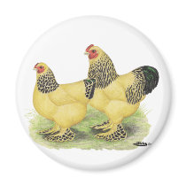 Brahmas:  Buff Bantams Fridge Magnets