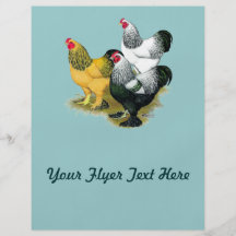 Brahmas Three Roosters Personalized Flyer