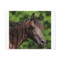 Braided Beauty Post Card