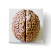 brain button