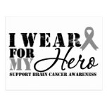Brain Cancer Hero Grey Ribbon Post Cards
