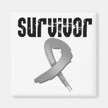 Brain Cancer SURVIVOR Magnets
