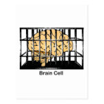 Brain Cell Post Card