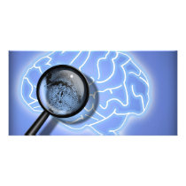 Brain fingerprint