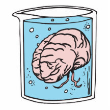 brain in a jar photo sculpture