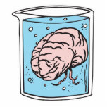 brain in a jar photo sculptures