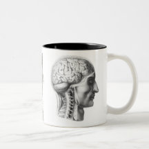 brain revealed coffee mugs
