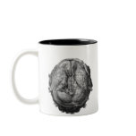 brain revealed mugs