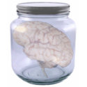 brains II t-shirts