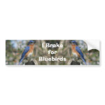 Brake for Bluebirds Bumper Sticker bumper stickers