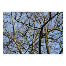 Branches Business Card Template