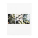 Branches in the Light Cards postcards