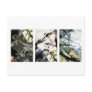 Branches in the Light Cards Postcards