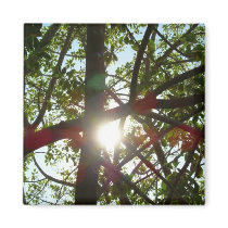 branches magnet