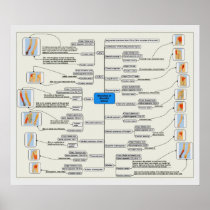 Branches of the Brachial Plexus Nerve System Chart
