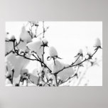 Branches Posters