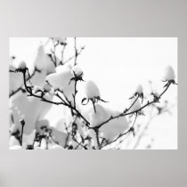 Branches Posters