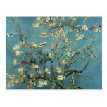 Branches with Almond Blossom by Vincent van Gogh Postcards