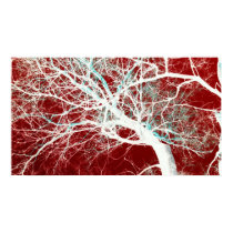 Branching Out posters