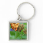 Brand new hatched butterfly baby, orange wings keychains