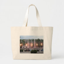 Branson Landing Bag