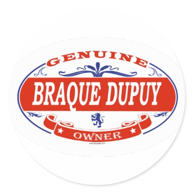 Braque Dupuy by GenuineDogOwner