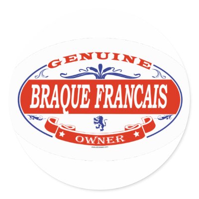 Braque Francais by GenuineDogOwner