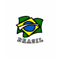 Brasil Flag t-shirts