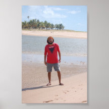 Brasilian Island Posteres