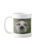 Bratty bunny mugs