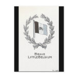 Brave Little Belgium Postcards