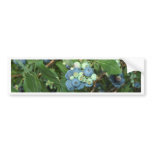 Brays Blueberries Greene County Indiana bumper stickers