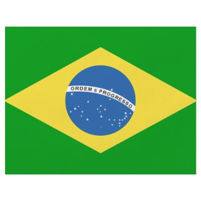 Brazil Flag Personalized Flyer by flagshirts
