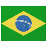 Brazil Flag flyers