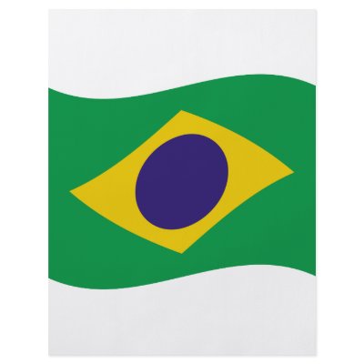 brazil flag icon full color flyer by TomaniacLines