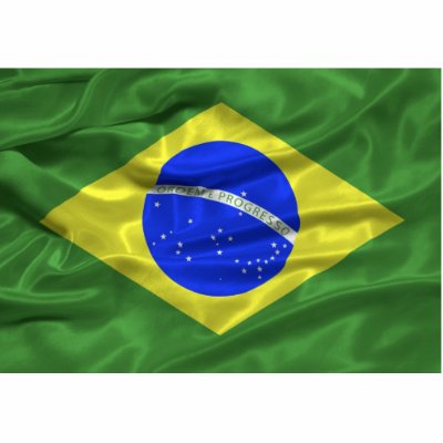 Brazil Flag Magnet Acrylic Cut Outs by CapturingCreations