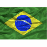 Brazil Flag Magnet photo sculptures