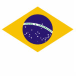 Brazil Flag Photo Sculptures