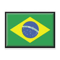 Brazil Flag