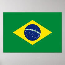 Brazil Flag Print