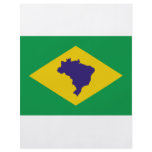 brazil icon flyers
