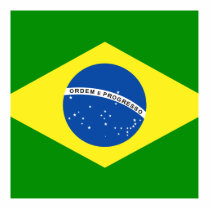 Brazil Cut Out