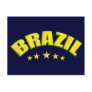 Brazil Soccer Champions postcard