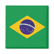 Brazilian flag fridge magnet