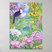 Brazilian Toucan in the Amazon Poster