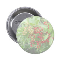 Brazillian Pepper Washed Out Pictuure Buttons